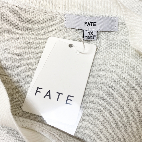 Fate Zebra Crew Neck Sweater NWT new 1X gray ivory stripe intarsia neutral - Picture 4 of 9